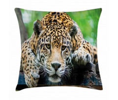 Jaguar Wildcat Feline Pillow Cover