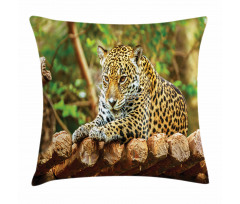 Jaguar on Wood Wild Feline Pillow Cover