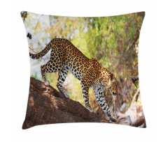 Leopard Tree Nature Reserve Pillow Cover