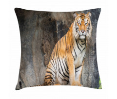 Bengal Tiger Cat Predator Pillow Cover
