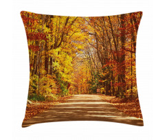 Scenic Outdoors Empty Road Pillow Cover