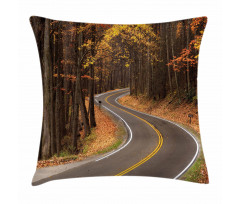 Roadway Mountains Travel Pillow Cover