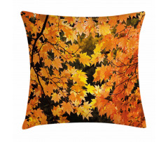 Vivid Autumn Maple Leaves Pillow Cover