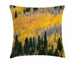 Colorful Aspen Trees USA Pillow Cover