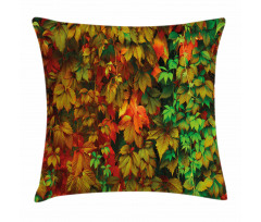 Colorful Leafage Vivid Pillow Cover