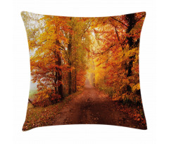 Footpath in Foggy Woods Pillow Cover