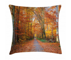 Vibrant Trees Pathway Pillow Cover