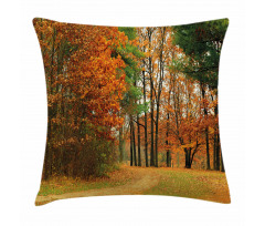 Cloudy Day in September Pillow Cover