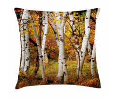 White Birch Trees Serenity Pillow Cover
