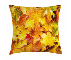 Wet Maple Leaves Nature Pillow Cover