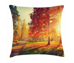 Misty Day in the Forest Pillow Cover