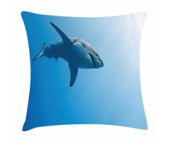 Fish in Ocean Swimming Pillow Cover