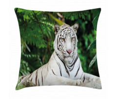 Albino Bengal Cat on Rock Pillow Cover