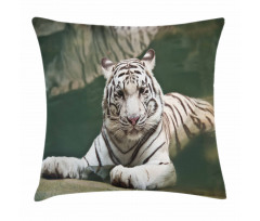 White Tiger Swimming Fun Pillow Cover