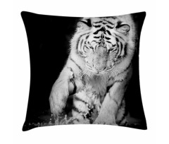 Large Cat Plays in Water Pillow Cover