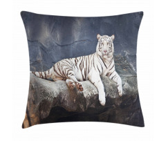 Wildlife Cat on the Rock Pillow Cover