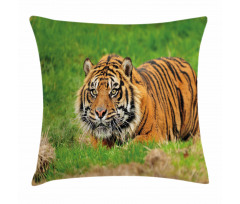 Sumatran Feline Ambush Pillow Cover