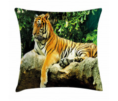 Big Cat Resting in Forest Pillow Cover