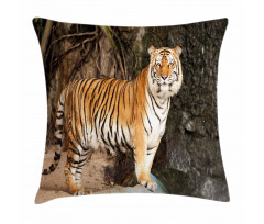 Alert Angry Royal Feline Pillow Cover