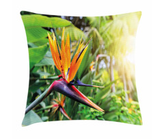 Bird of Paradise Flower Pillow Cover