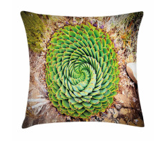 Aloe Polyphylla Vera Pillow Cover
