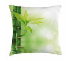 Bamboo out of Water Pillow Cover