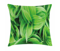 Tropic Foliage Pattern Pillow Cover