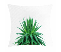 Vibrant Aloe Vera Pillow Cover