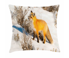 Red Fox in Snowy Nature Pillow Cover