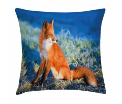 Serene Cold Autumn Field Pillow Cover