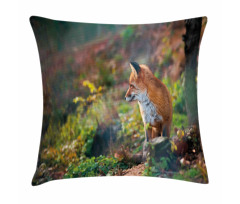 Young Wild Fox in Woodland Pillow Cover