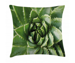 Green Leaf Exotic Mexico Pillow Cover