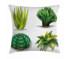 Aloe Vera Plants Cacti Pillow Cover