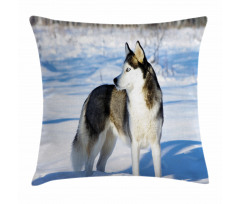 Husky on Snow Pillow Cover