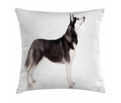 Arctic Animal Pillow Cover