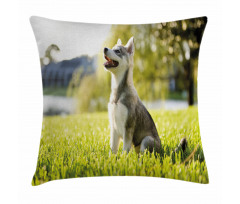 Friendly Pillow Cover