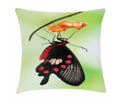 Open Cocoon Pillow Cover