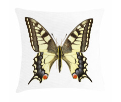 Old Papilio Pillow Cover