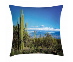 Tucson Countryside Cacti Pillow Cover