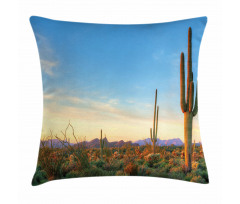 Sonoran Desert Sunset Pillow Cover