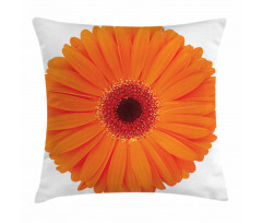 Vivid Flower of Gerbera Pillow Cover