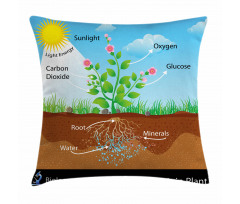 Plant Diagram Style Pillow Cover