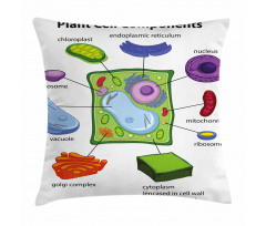 Cartoon Science Pillow Cover