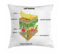 Leaf Names Theme Pillow Cover