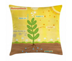 Cartoon Oxygen Sun Pillow Cover
