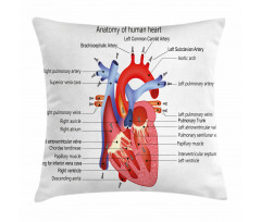 Human Body Organ Pillow Cover