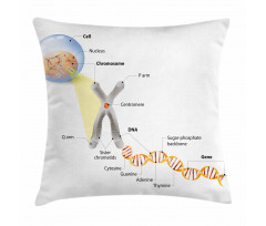 DNA Gene Genome Pillow Cover
