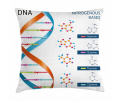Biochemistry Fun Pillow Cover