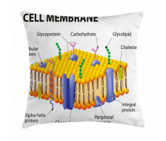 Membrane Cell Types Pillow Cover