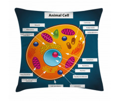 Science at School Pillow Cover